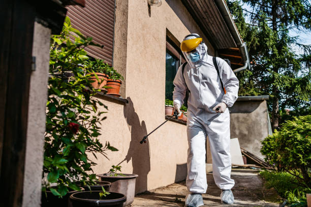 Best Mosquito Control Services  in Des Peres, MO