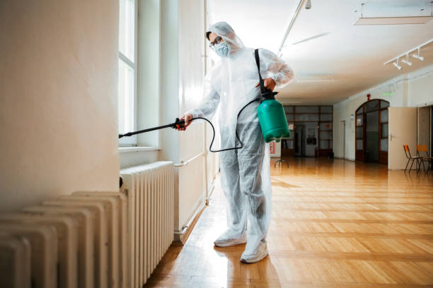 Best Pest Prevention Services  in Des Peres, MO